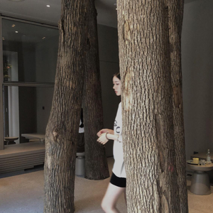 大雷擦大狙网站官网漫画
